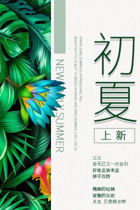初夏上新