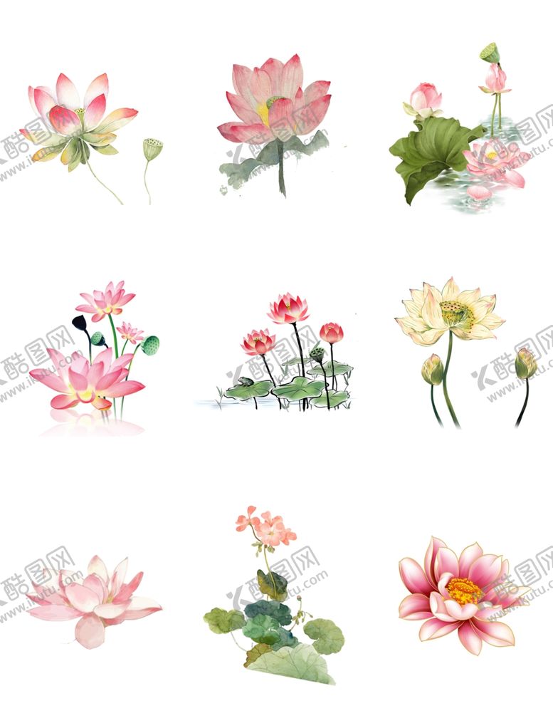 编号：88221909100035242689【酷图网】源文件下载-荷花