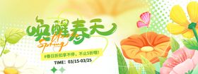 唤醒春天花卉插画海报