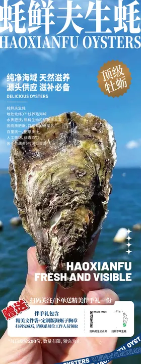 乳山生蚝宣传海报