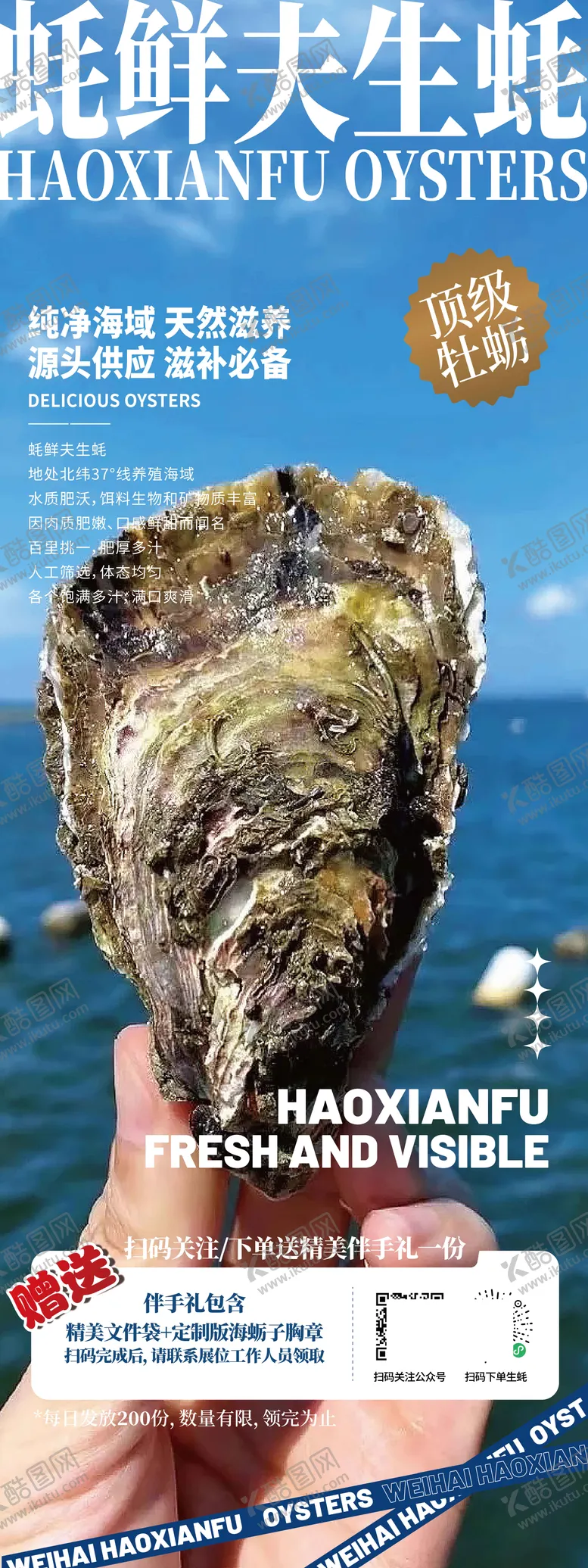 编号：65829709021025154342【酷图网】源文件下载-乳山生蚝宣传海报