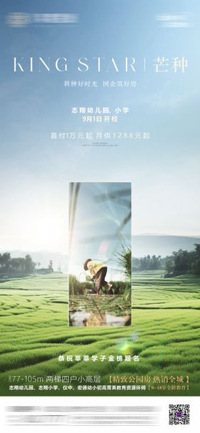 芒种二十四节气海报大气地产