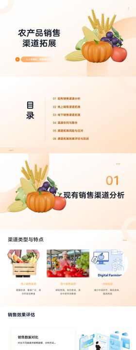 农产品销售渠道拓展PPT
