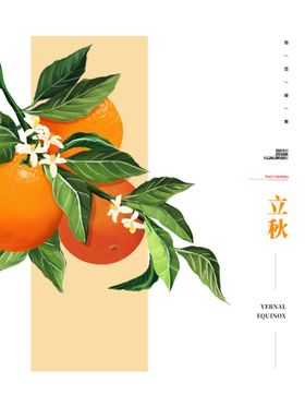 立秋