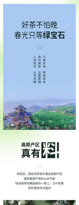 绿茶推文