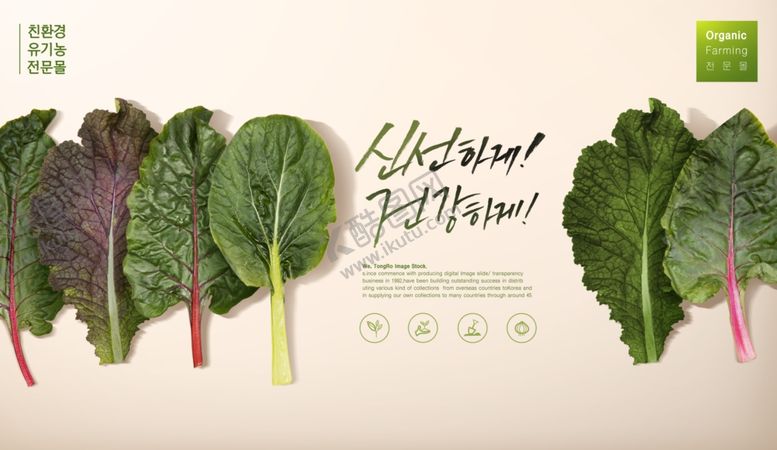 编号：14068209190503332524【酷图网】源文件下载-蔬菜海报