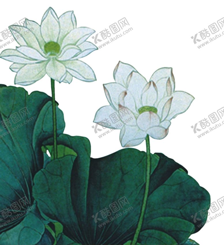 编号：14790606181900426869【酷图网】源文件下载-荷花