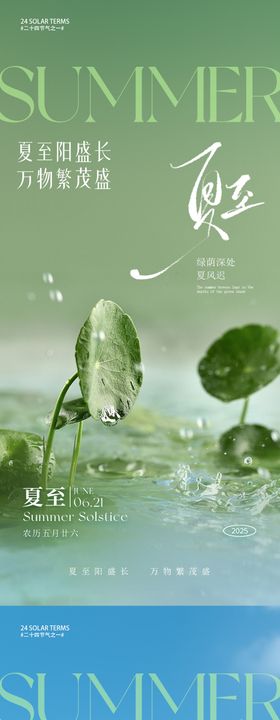 夏至节气海报简约荷叶荷花