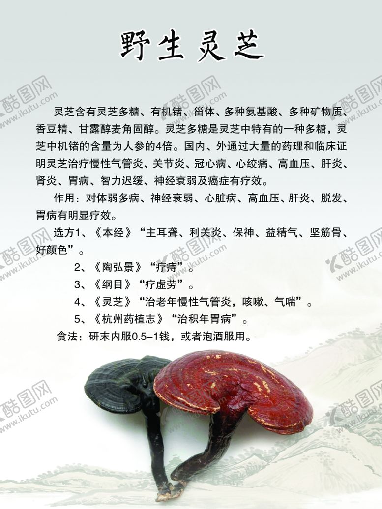 编号：93859706261404494985【酷图网】源文件下载-野生灵芝