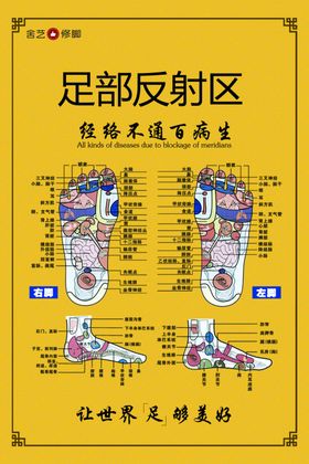 足部反射区