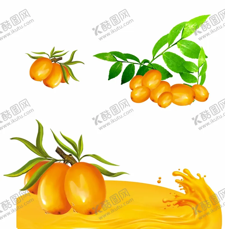 编号：91935010172058429461【酷图网】源文件下载-沙棘饮料
