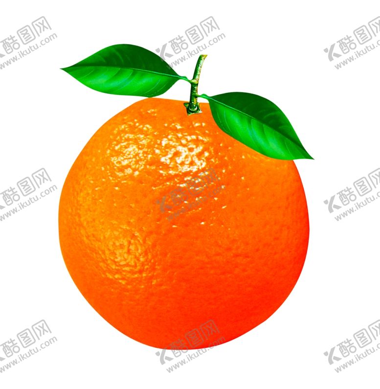 编号：68733309201539458728【酷图网】源文件下载-脐橙橘子