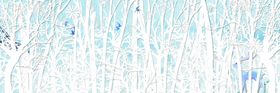 冰雪婚礼背景图片