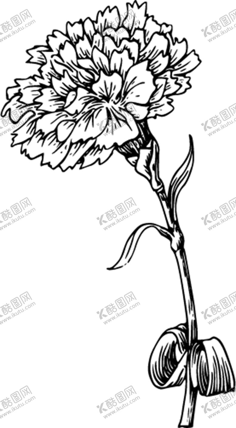 编号：35193310240050448987【酷图网】源文件下载-花素材