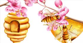 矢量蜂蜜小熊蜜蜂