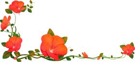 花藤边框