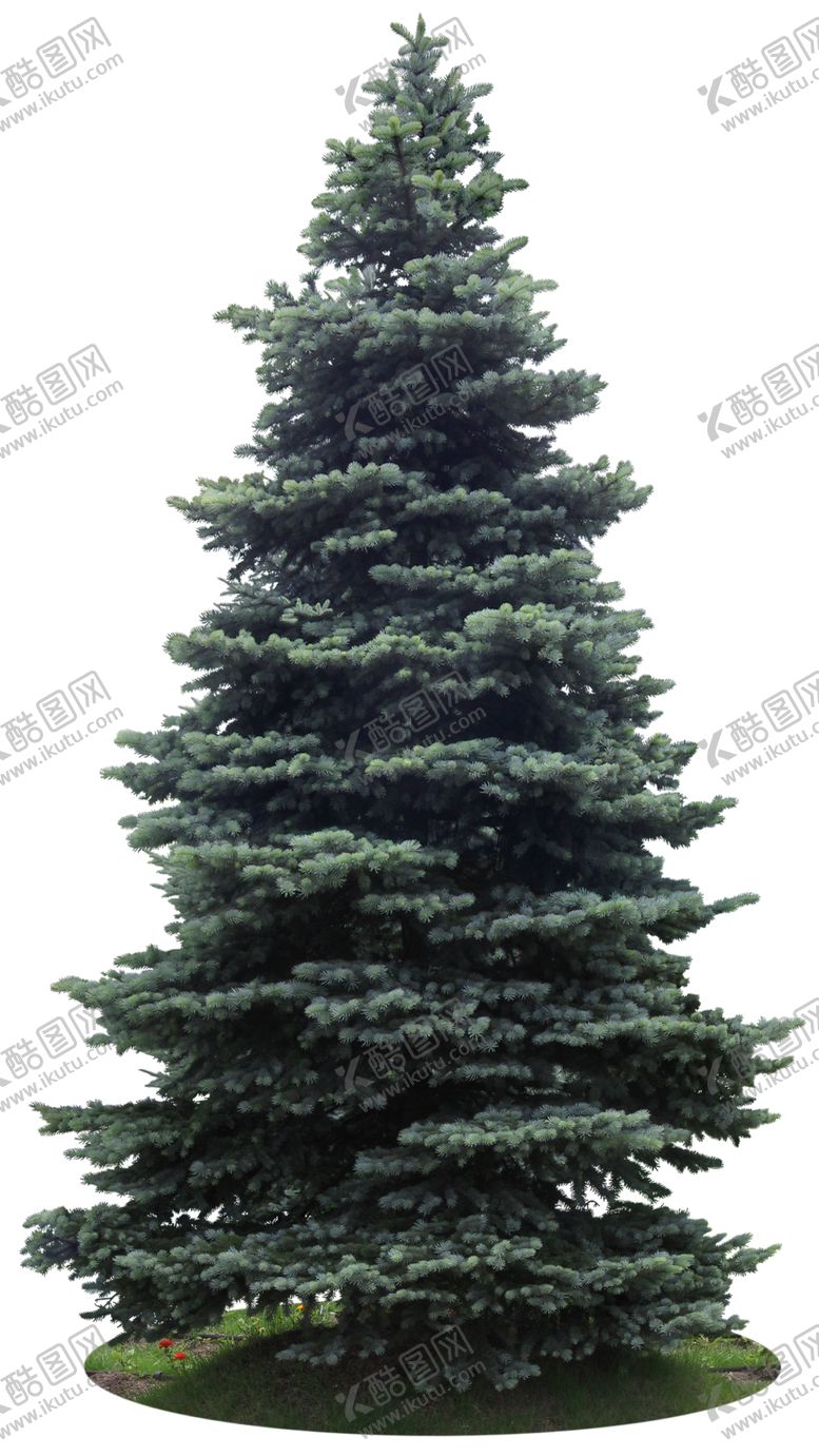 编号：78711007131820577186【酷图网】源文件下载-免扣植物树木素材图片