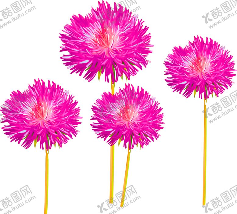 编号：57394309272105177593【酷图网】源文件下载-鲜花素材