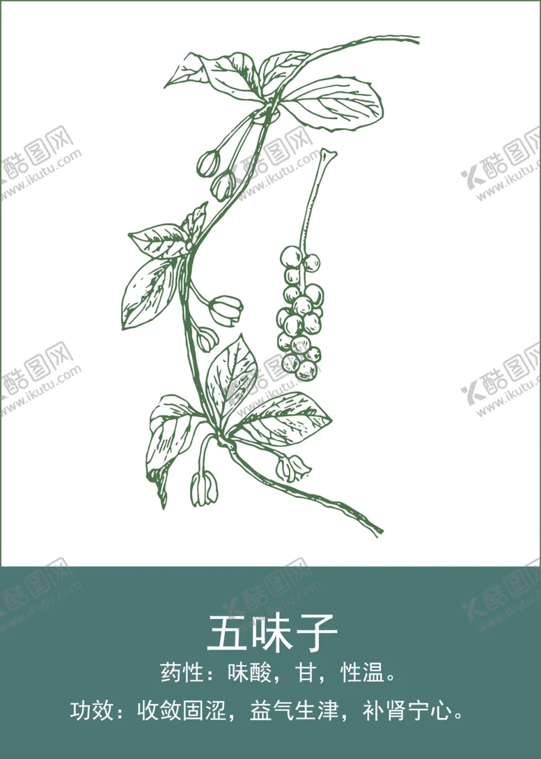编号：69680301140923355975【酷图网】源文件下载-中药手绘插画