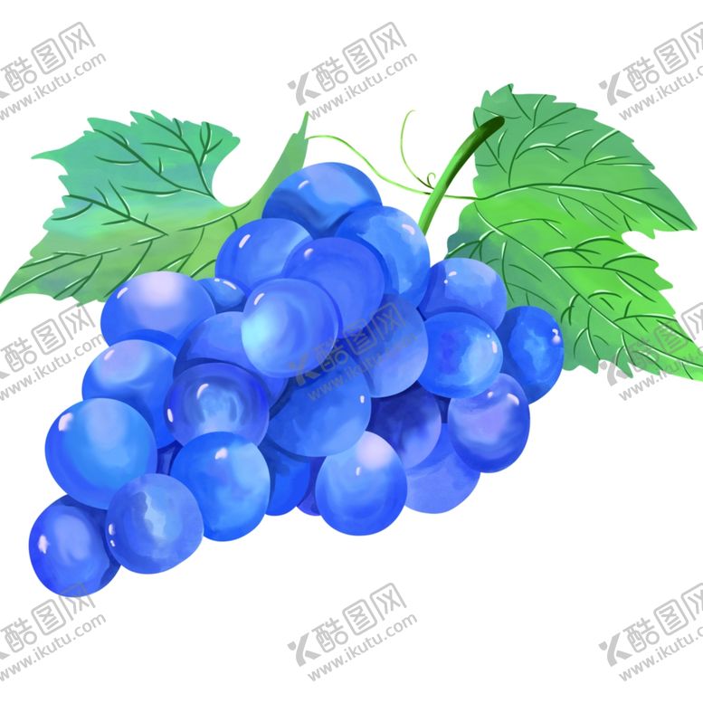 编号：23315401270432376016【酷图网】源文件下载-卡通葡萄