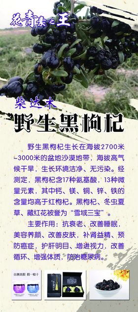 黑茶中国风易拉宝展架