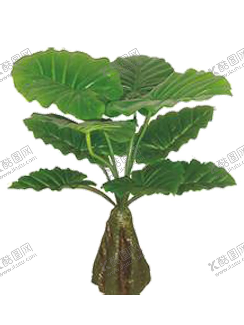 编号：53152210250359199201【酷图网】源文件下载-绿色植物