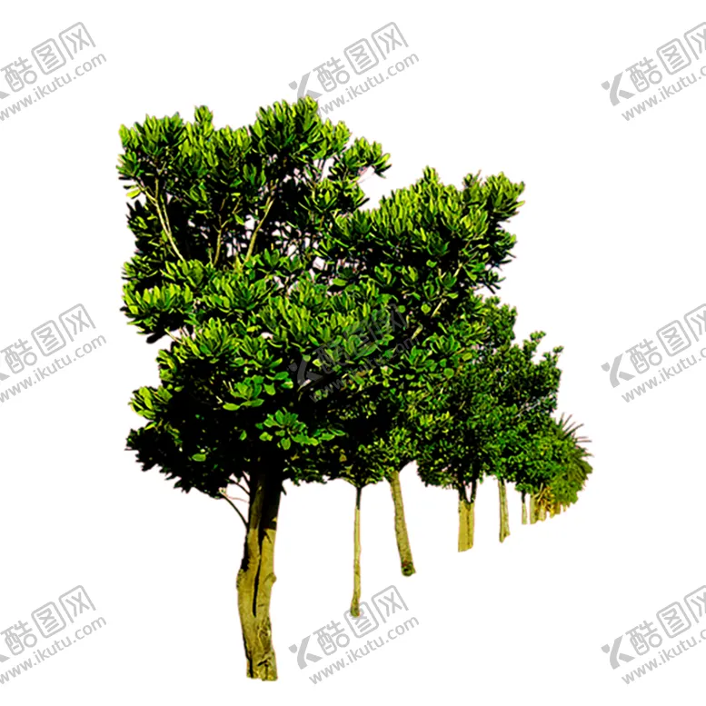 编号：66495806300808565799【酷图网】源文件下载-绿色植物