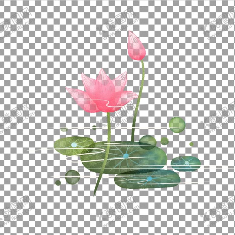 编号：82876910160947058533【酷图网】源文件下载-透明底荷花
