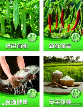 绿色蔬菜种植与安全保障