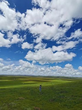 蓝天白云草原背景