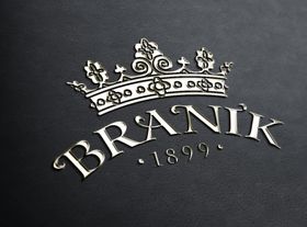 LOGO样机展示智能名片