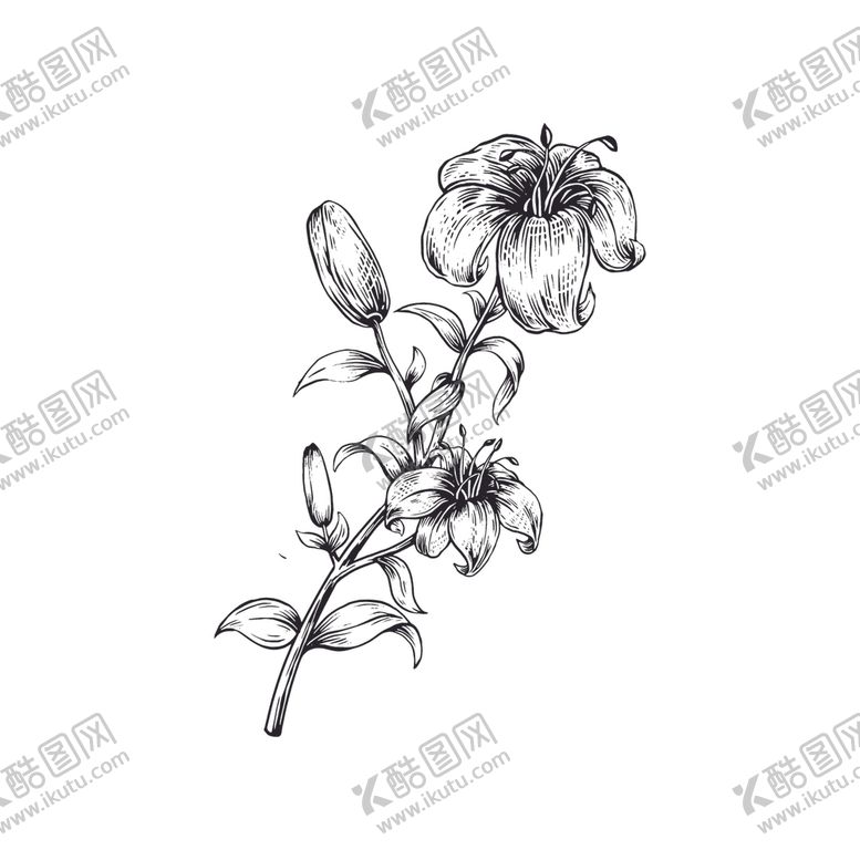 编号：90589907120955453993【酷图网】源文件下载-手绘花朵