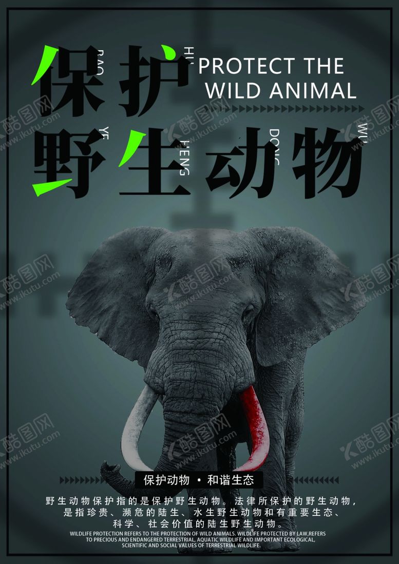 编号：14470002210712484011【酷图网】源文件下载-保护动物海报