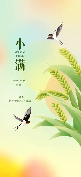 小满麦麦子节气
