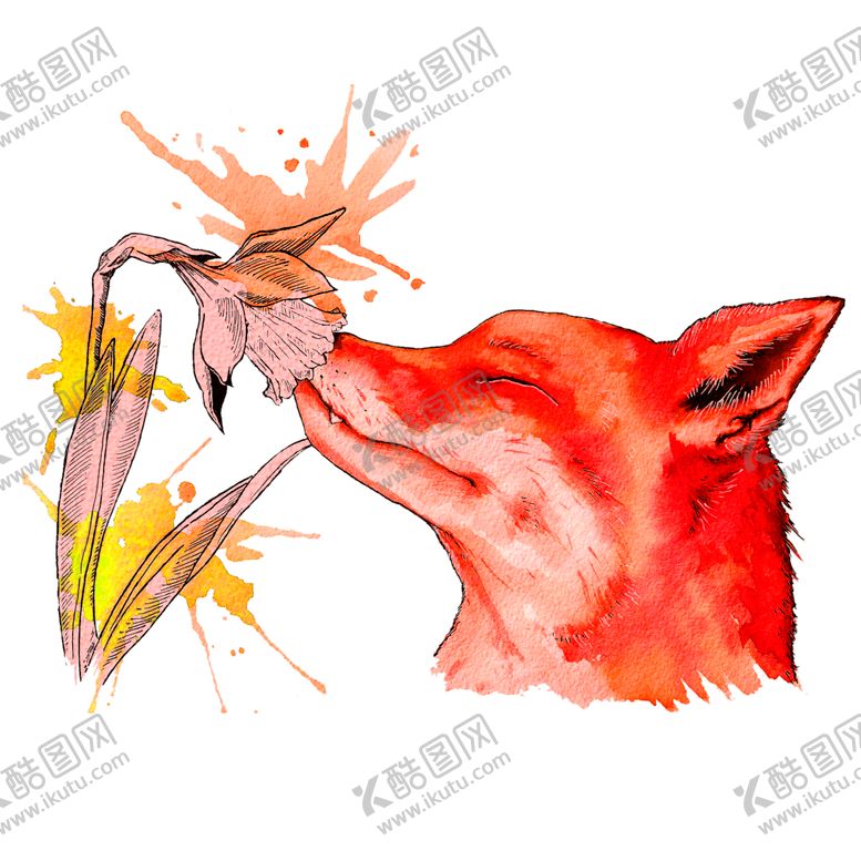 编号：62716310091633575905【酷图网】源文件下载-花素材