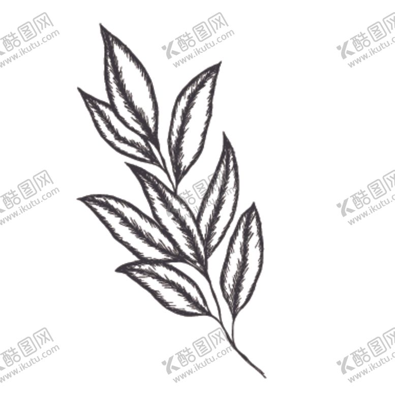 编号：53309609131120008267【酷图网】源文件下载-简笔绘画植物花朵图谱