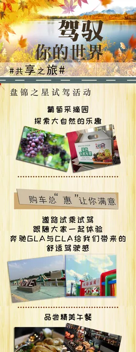 秋季试乘试驾七彩葡萄长图