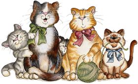 手绘猫咪手绘猫萌猫插画猫