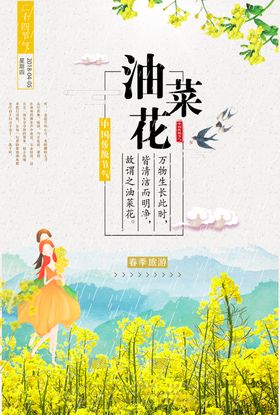 油菜花