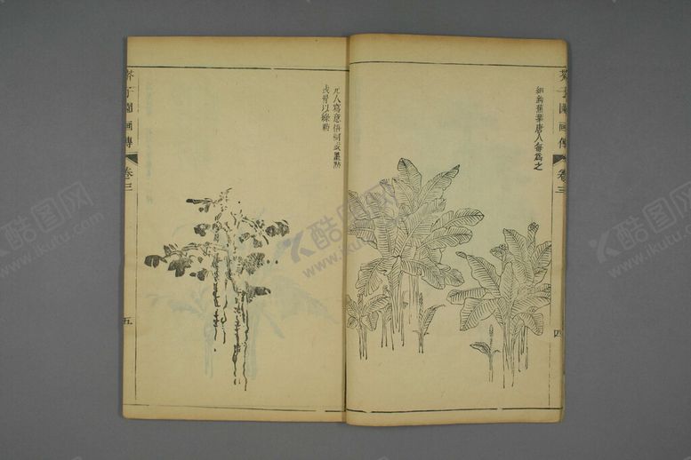 编号：17548209260514436039【酷图网】源文件下载-芥子园画传蕉叶