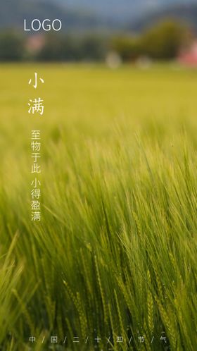 小满节气图海报节气海报