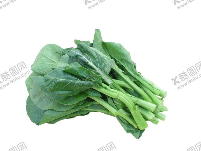 编号：73666509180316004026【酷图网】源文件下载-家常菜美食