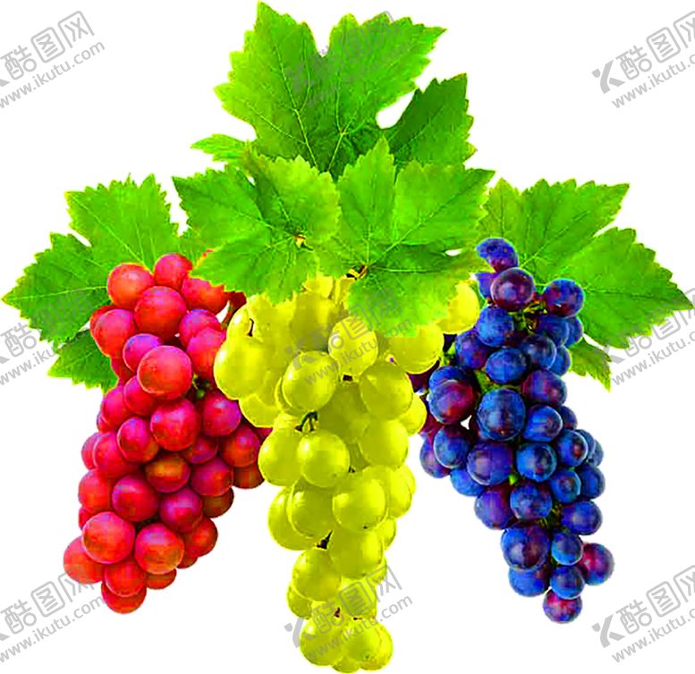 编号：15416309201126072724【酷图网】源文件下载-浪漫素材