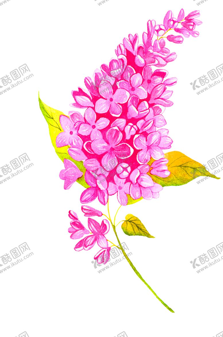 编号：18833507091246114671【酷图网】源文件下载-花素材