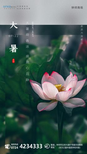 大暑微推