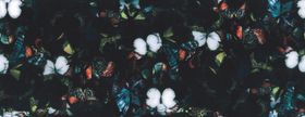 蝴蝶爆款大牌数码印花