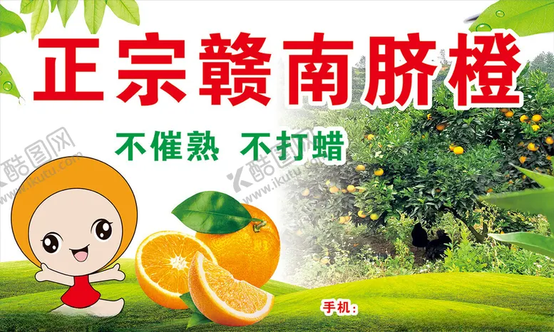 编号：36987301272252366720【酷图网】源文件下载-赣南脐橙