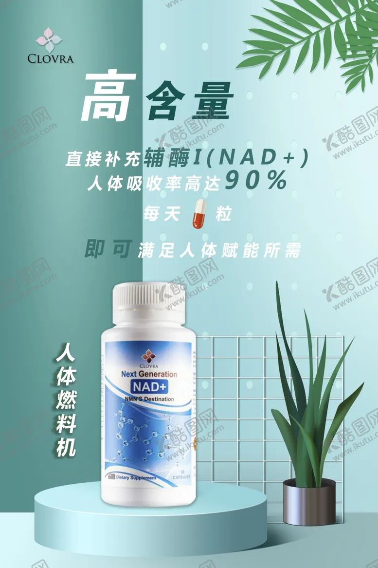 编号：72321106251535081954【酷图网】源文件下载-保健海报