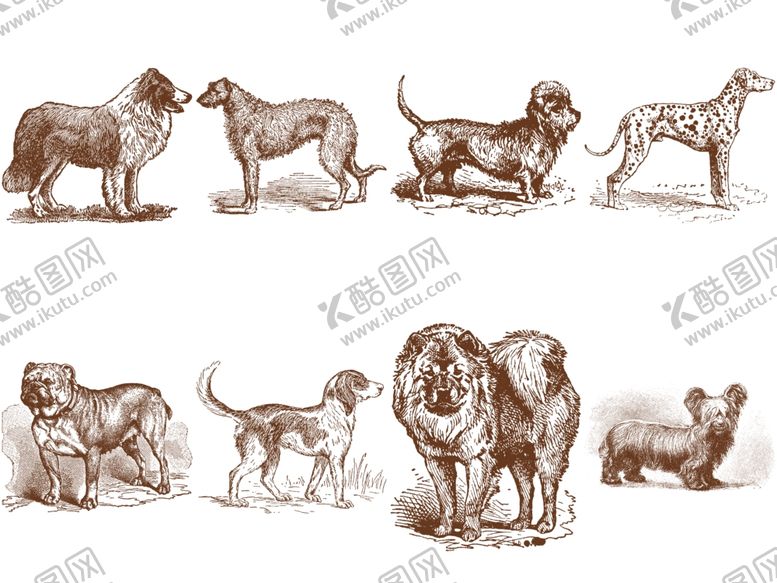 编号：72803409201511566979【酷图网】源文件下载-卡通狗