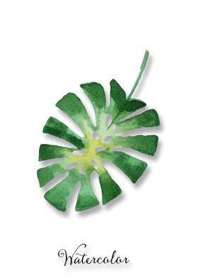 植物装饰画图片